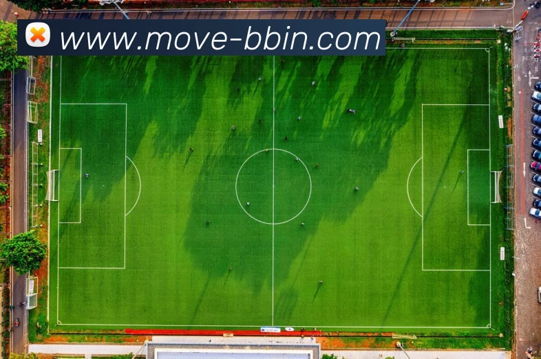 BBIN体育服务体系